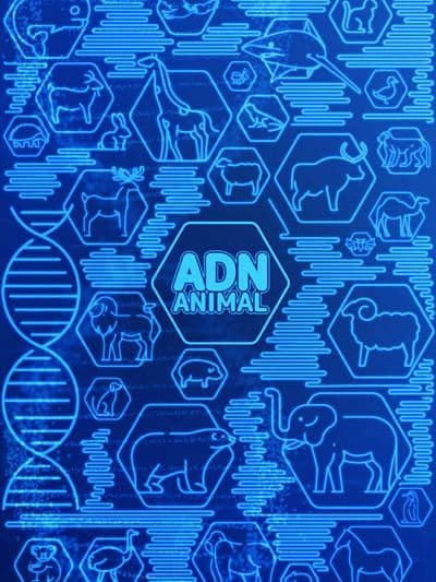 ADN animal 